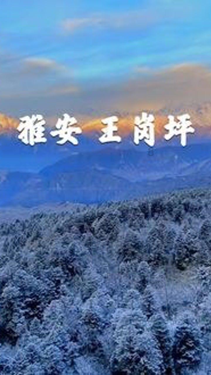 关于拉丁舞的八问八答（上篇）